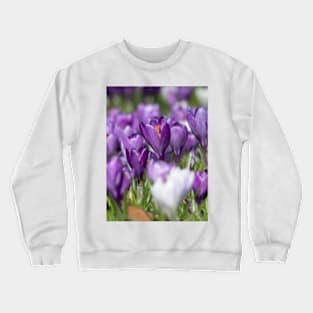 Purple Crocus Crewneck Sweatshirt